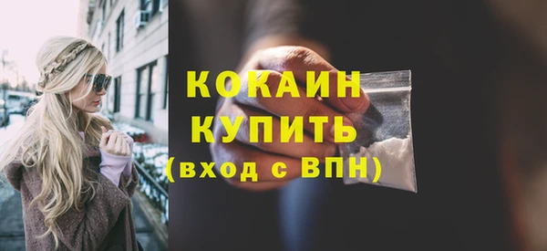 гашик Михайлов