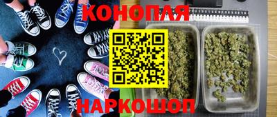 стафф Балаково