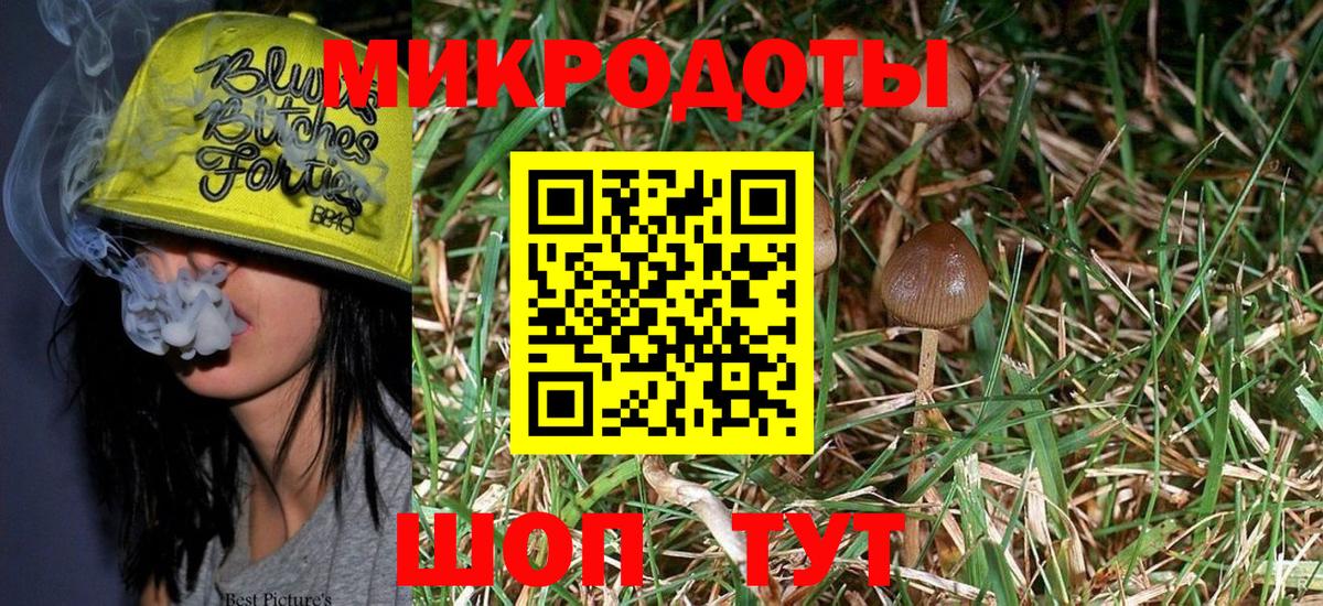 Псилоцибиновые грибы MAGIC MUSHROOMS  Татарск 