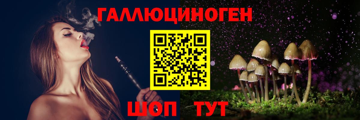Псилоцибиновые грибы Psilocybine cubensis  Вход с VPN  Татарск  Псилоцибиновые грибы прущие грибы 
